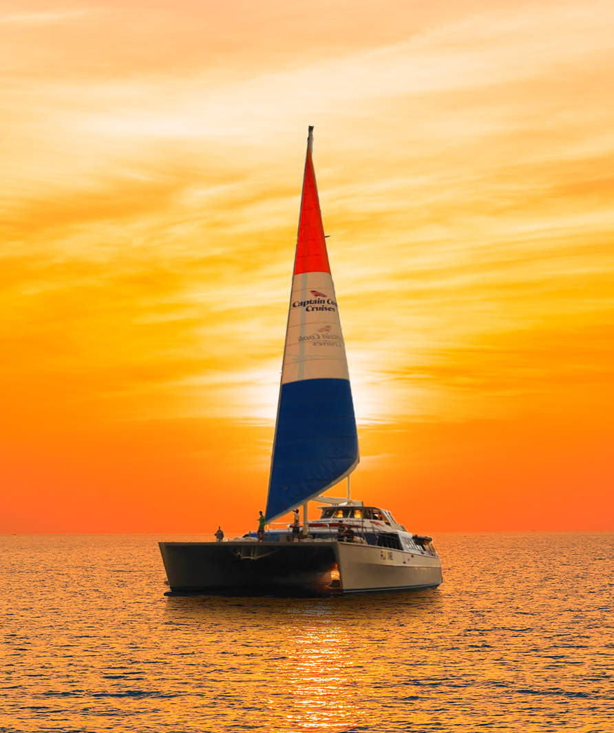 Sunset Dinner Cruise